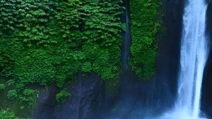 Wisata Alam Indonesia: Surga Nyata untuk Pecinta Healing